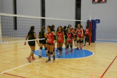 P1010392_ridotta